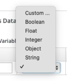 Variable Data Type Property